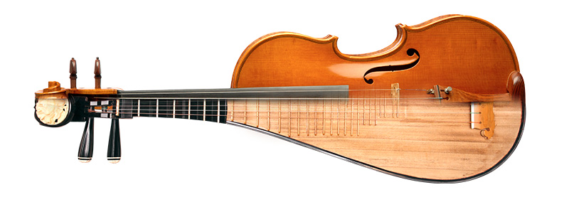 violin